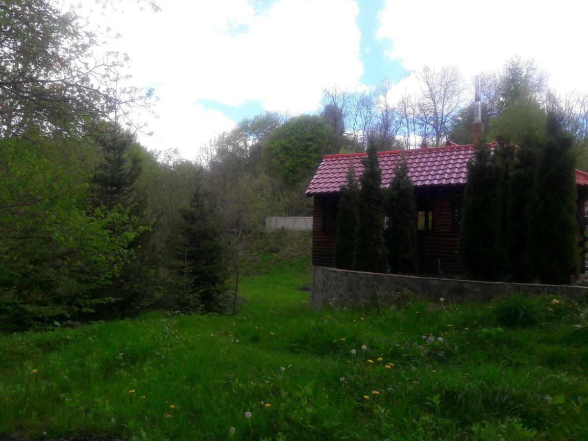 Casa Daos Hotel Nucşoara Eksteriør billede